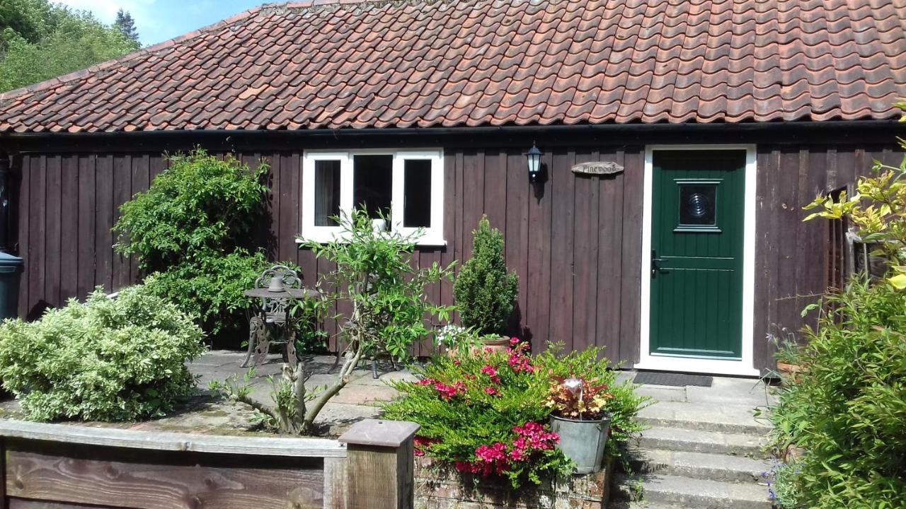 Pinewood Cottage Thorpe Market Extérieur photo